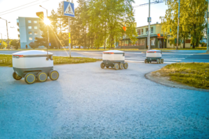 Food delivery robot